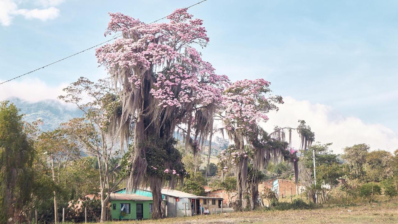 Vila Macua Chipata Exteriér fotografie