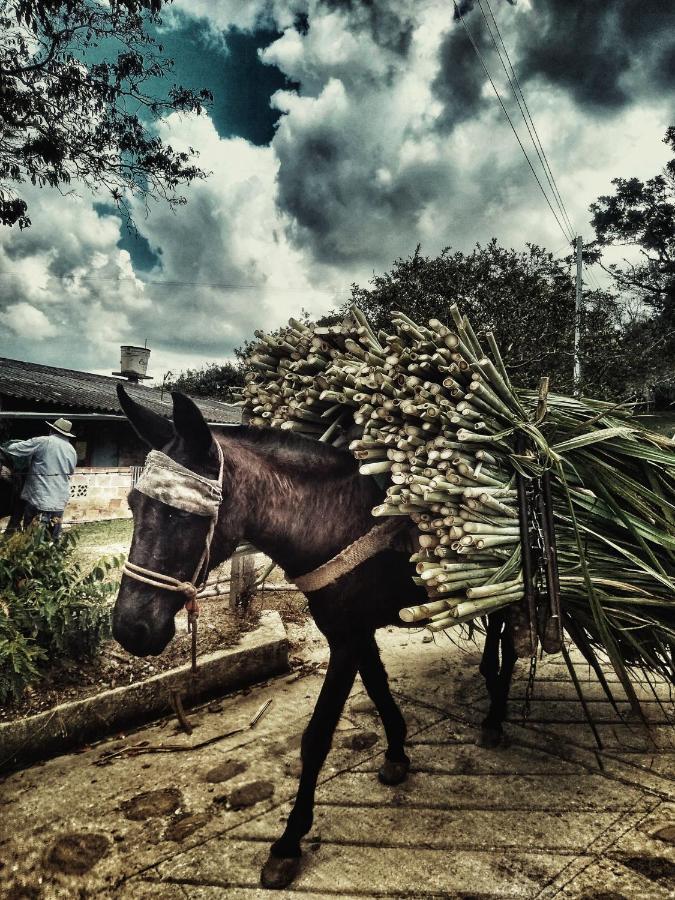 Vila Macua Chipata Exteriér fotografie