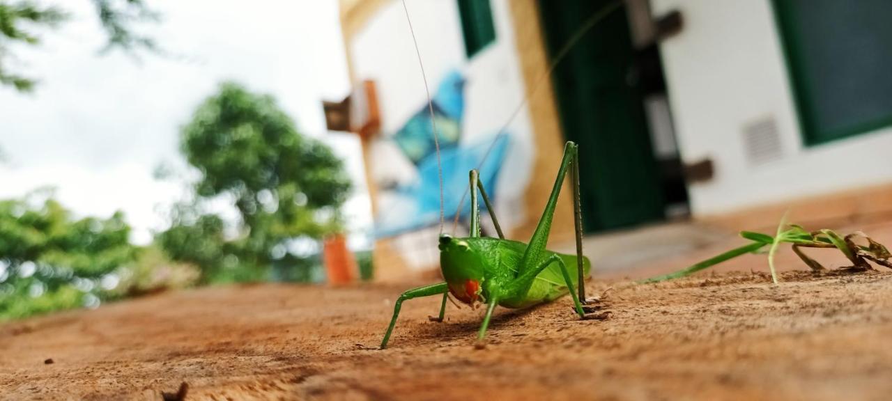 Vila Macua Chipata Exteriér fotografie